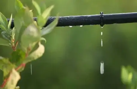 Drip Irrogation System Manufacturer
